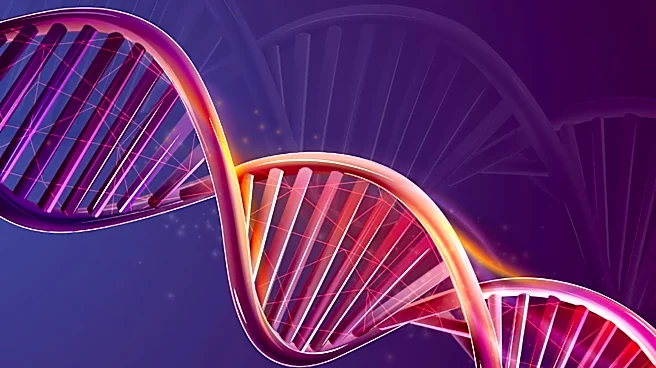 X Chromosome's Role in Health and Disease Unveiled, Highlighting Gender Differences