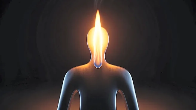 Yahya Abdul-Mateen II Takes on 'Man on Fire' Role Amidst High Expectations