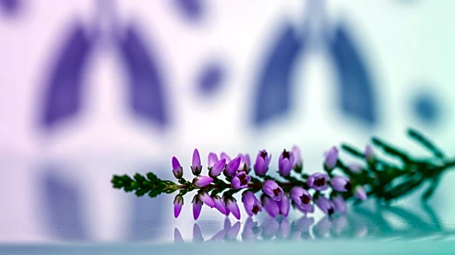 Calluna Pharma Completes Enrollment in Global Phase 2 Study for Pulmonary Fibrosis Treatment