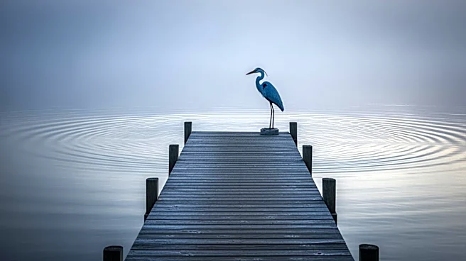 Filmmaker Explores Family Trauma in 'Blue Heron'