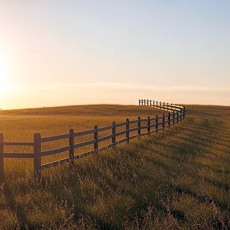 Jamie-Lynn Sigler Moves to Texas for Privacy Amid MS Battle