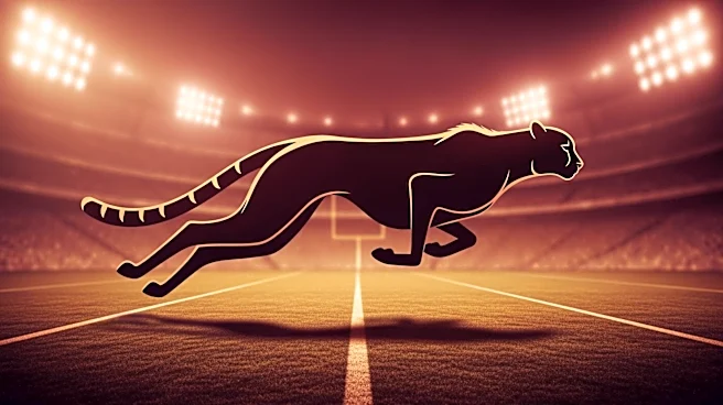 Oklahoma Sooners Seek New Talent for Cheetah Position in 2026