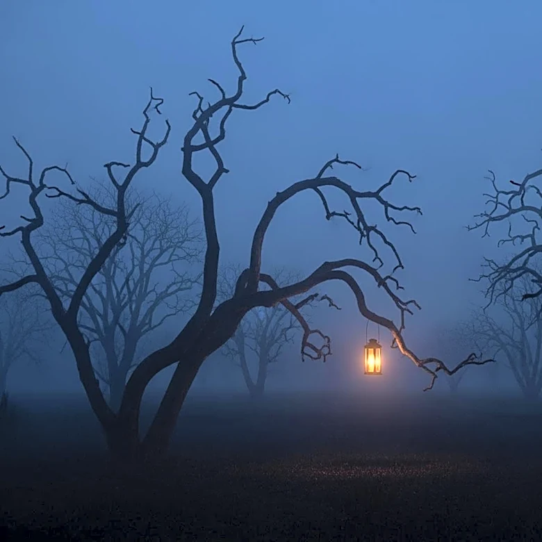 Magnolia Pictures Acquires Japanese Horror Film 'Never After Dark'