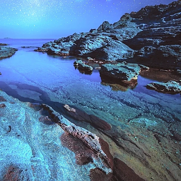 Vancouver Residents Witness Lyrid Meteor Shower and Rare Celestial Events