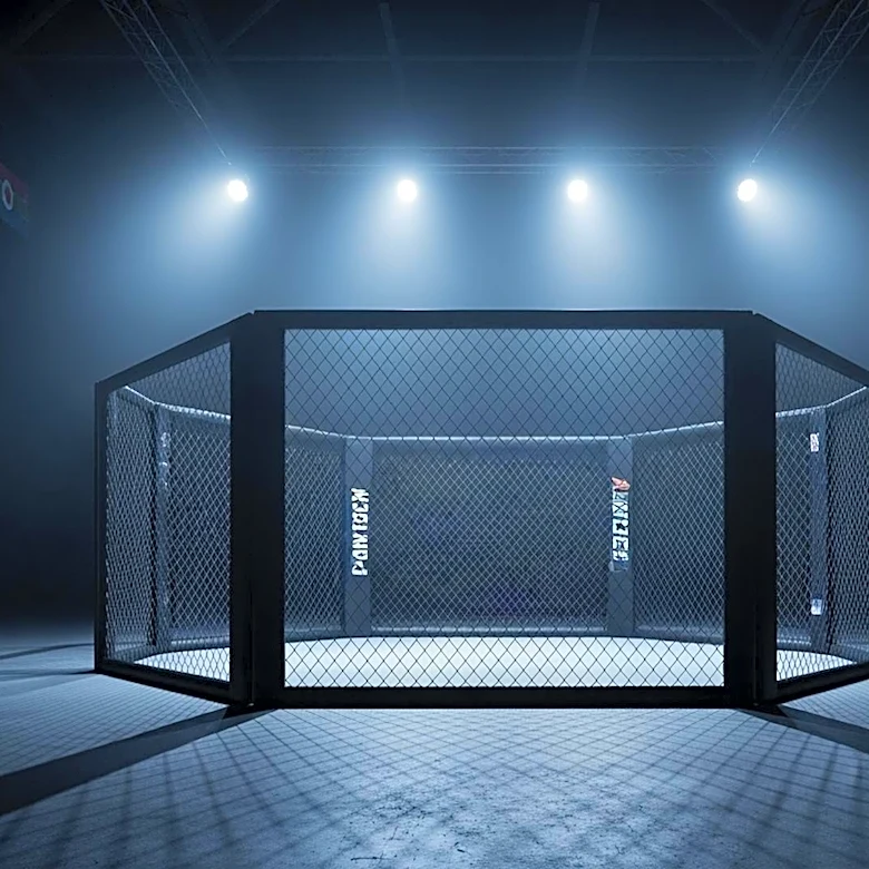 Darren Till Criticizes UFC's Current State, Cites Lack of Passion and Investment