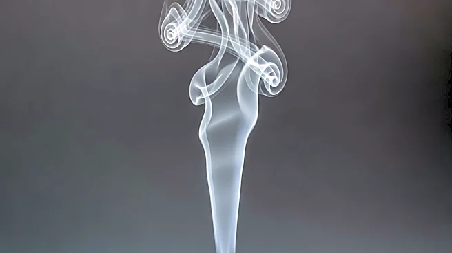 A24 to Adapt 'White Smoke' Novel into TV Series Starring Benedict Cumberbatch