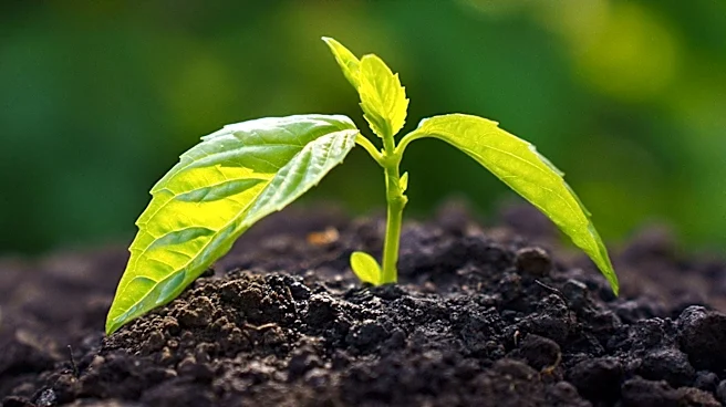 Sustainable Agriculture's Dependence on Soil Health Highlighted on Earth Day