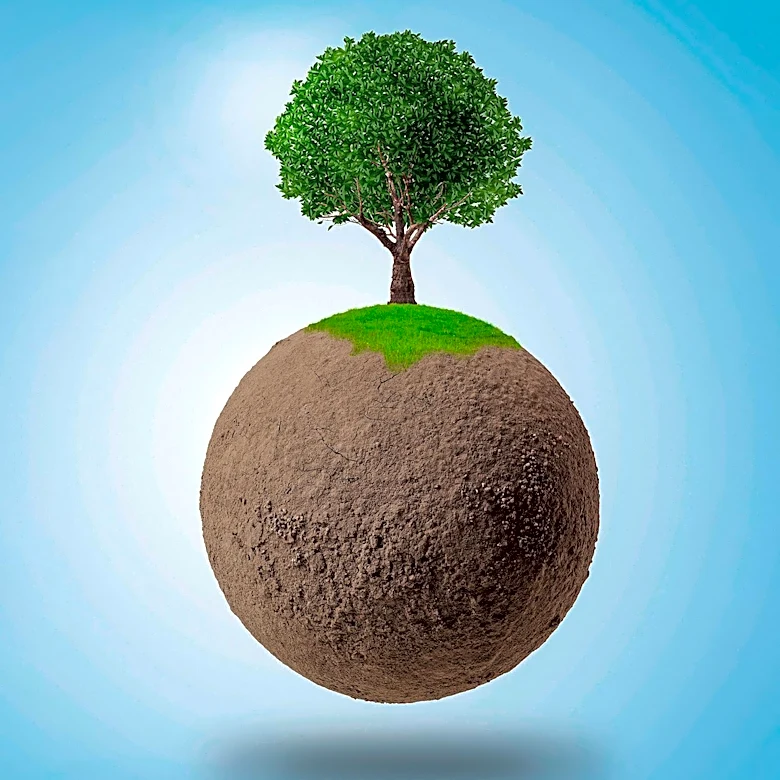 Environmentalists Reclaim 'Tree-Hugger' Term Amidst Earth Day Celebrations