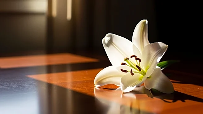 Lee Najjar, Former Partner of 'Real Housewives' Star Kim Zolciak, Passes Away at 68