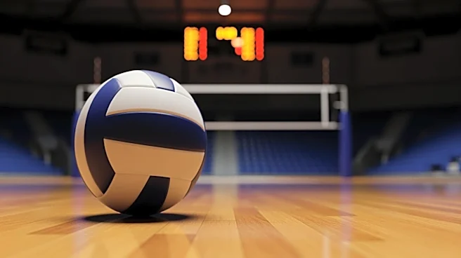 Nebraska Volleyball Exhibition Marks Homecoming for Northern Colorado Assistant Coach