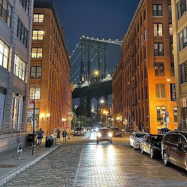 Dumbo Drop Returns to Brooklyn to Support Local Schools