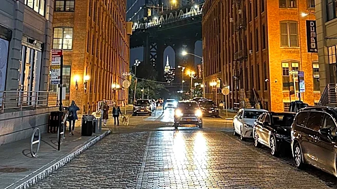 Dumbo Drop Returns to Brooklyn to Support Local Schools