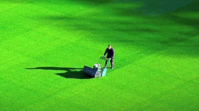 Consumer Reports Offers Cost-Saving Tips for Lawn Care and Mower Maintenance