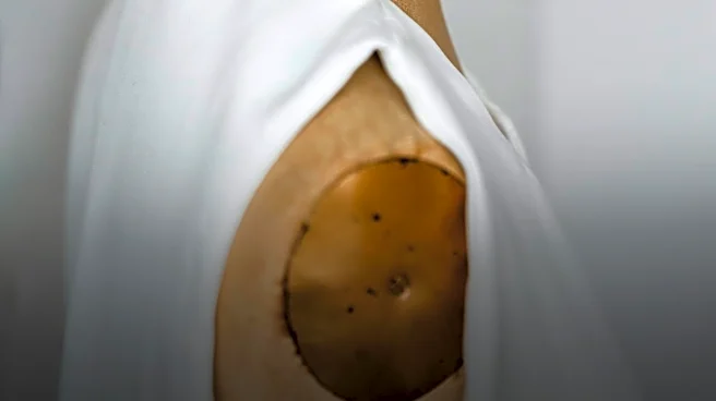 Jean-Denis Franoux's Fashion Archive Offers a Glimpse into Fashion History