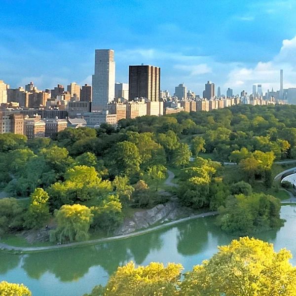 NYC Exhibition 'Before New York' Recreates City's Pre-Colonial Landscape