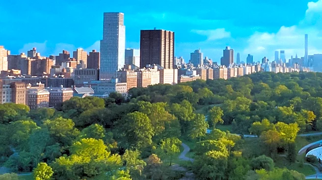 NYC Exhibition 'Before New York' Recreates City's Pre-Colonial Landscape