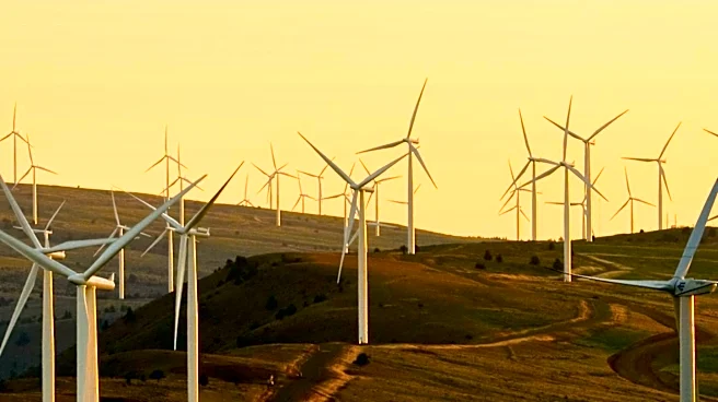 Brands Face Challenges in Sustainability Storytelling Amid Regulatory Scrutiny