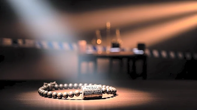 Jimmy Fallon Apologizes to 'Survivor' Contestant for Elimination Twist