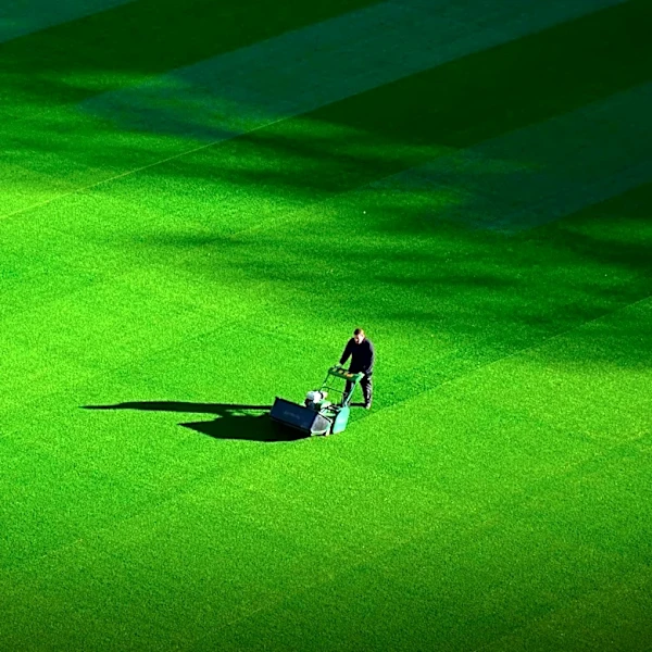 Consumer Reports Offers Cost-Saving Tips for Lawn Care with Mower Recommendations