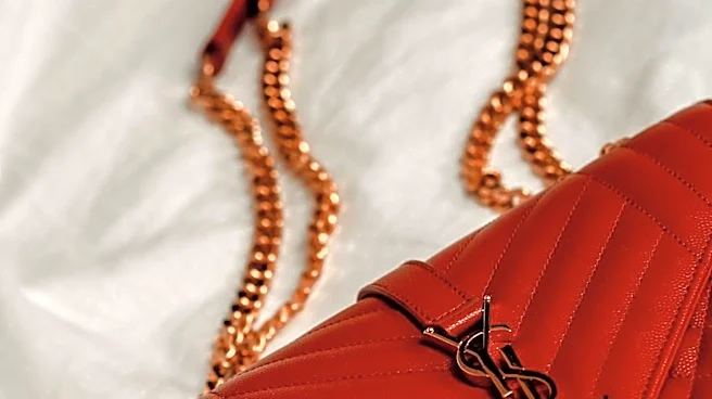 Affordable Chanel 25 Bag Dupes Emerge on Amazon, Offering Luxury Look for Less