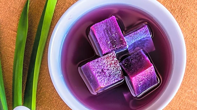 Ube Gains Popularity as a Natural Food Colorant and Health Trend
