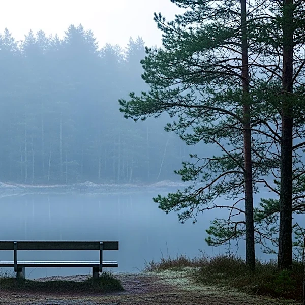 Camilla Läckberg's 'Shadow of Guilt' Series to Explore Guilt and Memory in Fjällbacka