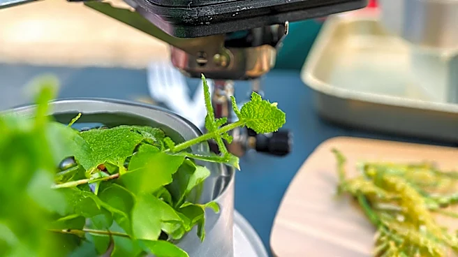 Ninja FlexFlame Gas BBQ Offers Versatile Outdoor Cooking Options