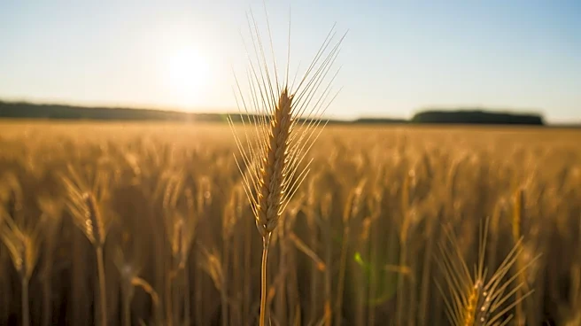 Pioneer Celebrates 100 Years of Agricultural Innovation, Impacting Global Farming