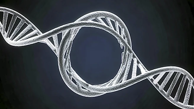 Circular Genomics Appoints Alzheimer's Biomarker Expert to Advisory Board