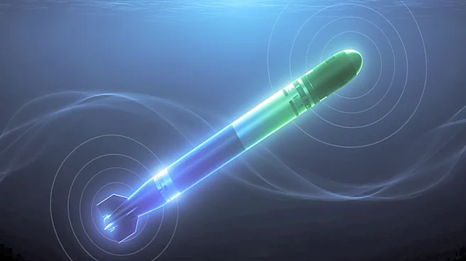 Self-Guided Torpedo Market Growth Driven by Naval Modernization and Territorial Conflicts