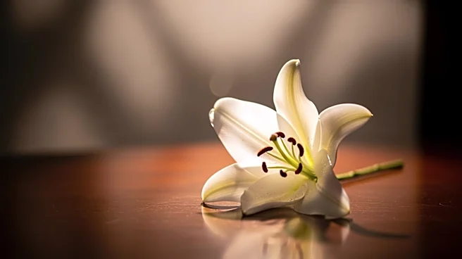 Denise Richards Shares Tribute to Late Ex-Boyfriend Patrick Muldoon