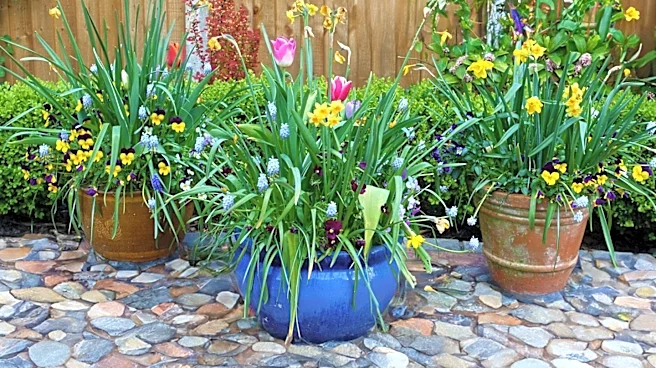 36th Annual Southern California Spring Garden Show at South Coast Plaza