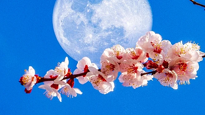 May's Flower Moon to Illuminate Night Sky on May 1