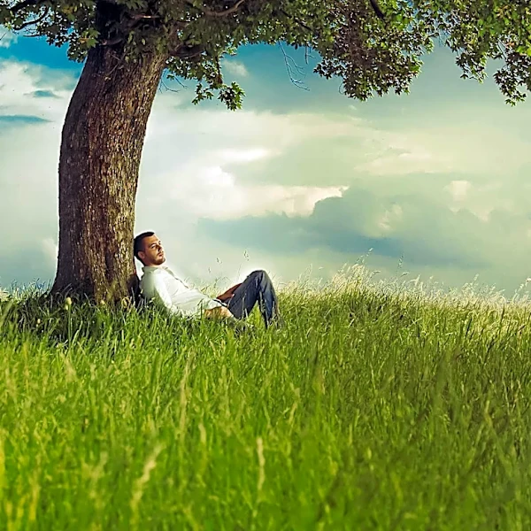 Study Highlights Nature's Role in Combating Loneliness