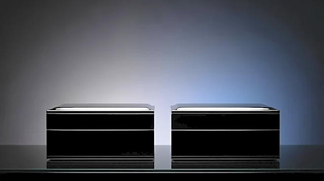 Chanel and The RealReal Clash Over Resale Market Control in Antitrust Dispute