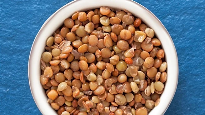 Lentils: A Nutrient-Packed, Budget-Friendly Superfood
