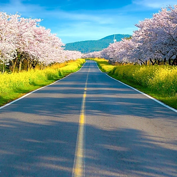 World Atlas Highlights 11 Scenic Drives in New York for Spring Travelers