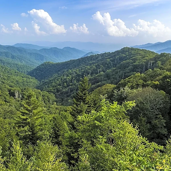 Exploring Sevierville: A Tranquil Alternative to Crowded Smoky Mountains