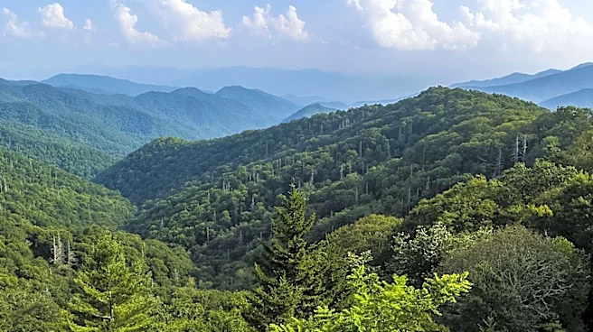 Exploring Sevierville: A Tranquil Alternative to Crowded Smoky Mountains