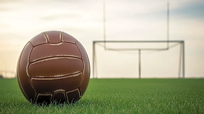 Former Nigeria Soccer Player Michael Eneramo Dies at 40 After Suspected Heart Attack During Game