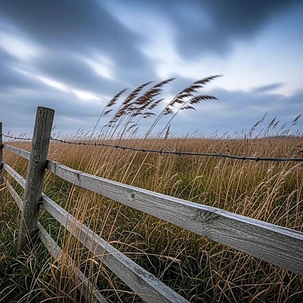 'Wuthering Heights' Film Adaptation to Stream on HBO Max
