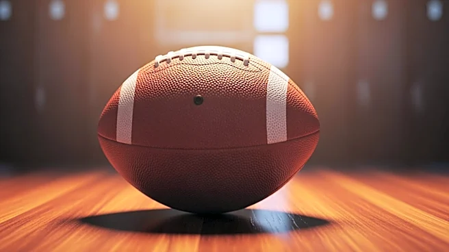 Terry Bradshaw Reunites with Immaculate Reception Ball After 50 Years