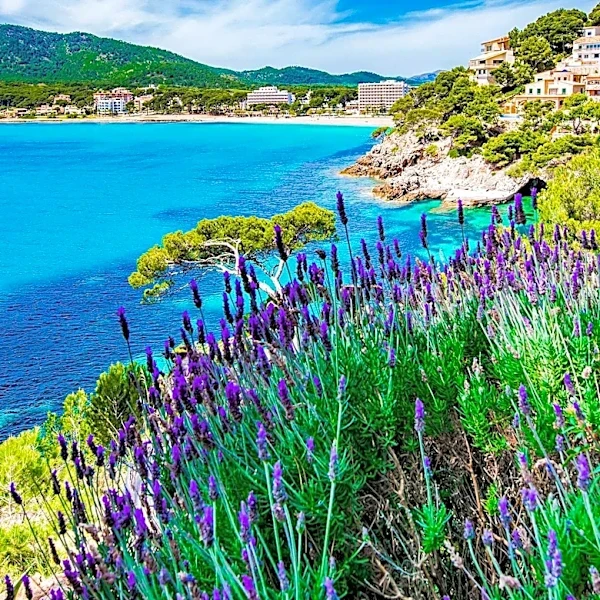 TUMI Launches 'Mediterranean Escape' Collection Highlighting Travel Ease and Coastal Inspiration