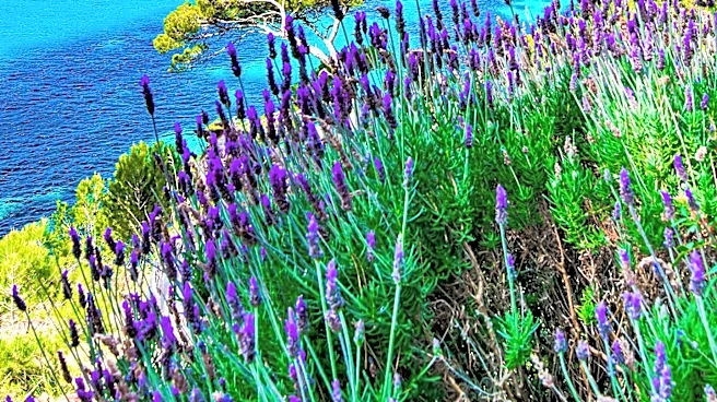 TUMI Launches 'Mediterranean Escape' Collection Highlighting Travel Ease and Coastal Inspiration