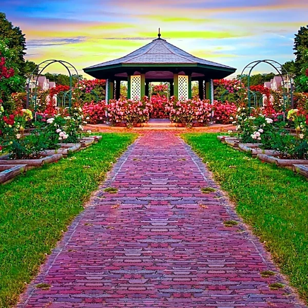 Stockton's Rose Garden Tour Celebrates Spring with Blooming Roses