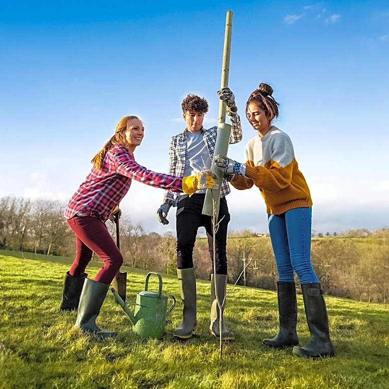 Morton Arboretum Offers Guidance on Proper Tree Planting for Arbor Day