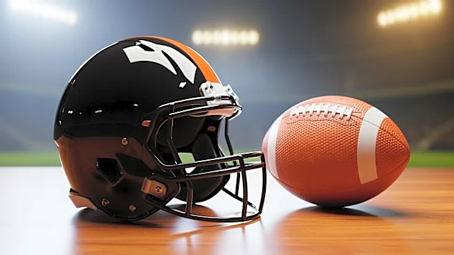 Colbie Young Drafted by Cincinnati Bengals in NFL Draft, Joins Competitive Receiver Lineup