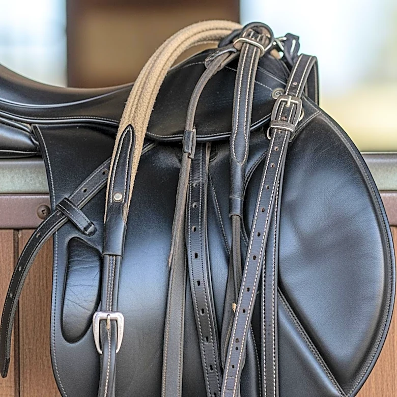 Kentucky Derby Favorite Renegade Faces Challenge with Unfavorable Starting Position