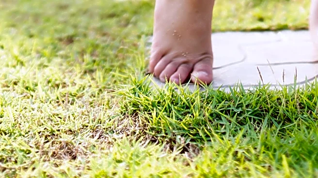 Research Explains Why Mosquitoes Prefer Certain People Over Others