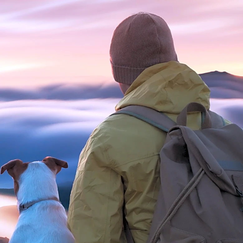 Sevierville Offers Dog-Friendly Alternatives to Crowded Smoky Mountains